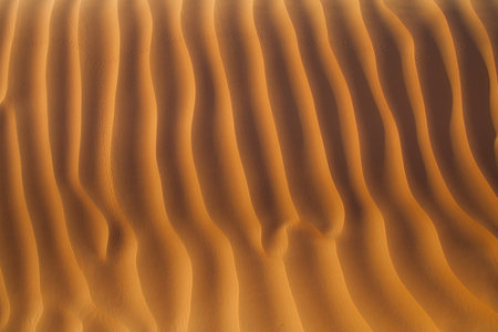 ripples in the soft desert sand with light and shadow