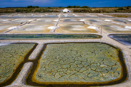 Colorful square salterns in sunlight at the area of Guerandeの写真素材