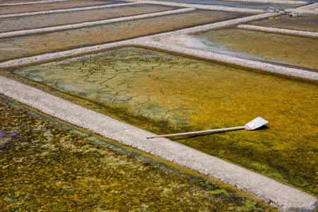 Colorful salterns with a shovel in sunlight at the area of Guerandeの写真素材