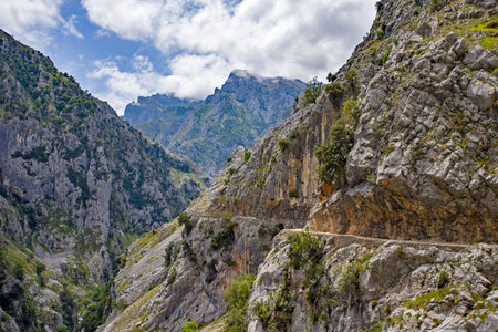 the narrow hiking trail winding along the rock face in the ruta del cares gorge with steep slopesの写真素材