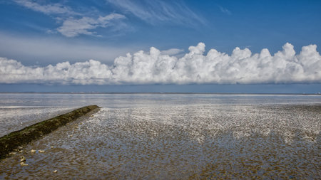 the wadden sea with a groyne at low tide and sunshine with a cloud front just above the horizon