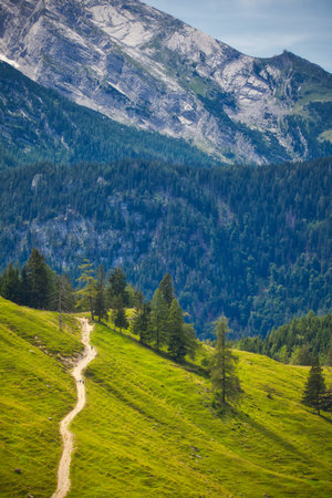 hiking trail with hikers on a green meadow in alps with mountain sceneryの写真素材