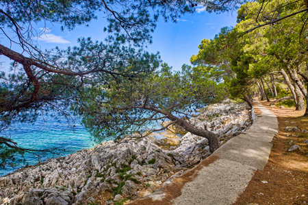 a trail along the coast of the island loÅ¡injの写真素材
