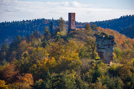 view over the colorful autumnal mixed forest and the hills of the southern palatinate in the afternoon sunlightの写真素材