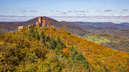 view over the colorful autumnal mixed forest and the hills of the southern palatinate in the afternoon sunlightの写真素材