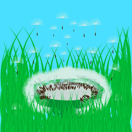 dandelion in the green grass against the blue skyのイラスト素材