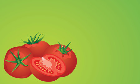 fresh tomatoes vector on green backgroundのイラスト素材