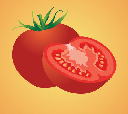 fresh sliced ââtomato vector isolated illustrationのイラスト素材