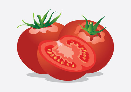 fresh sliced ââtomato vector illustrationのイラスト素材