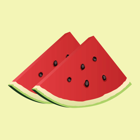 watermelon slice in isolated vectorのイラスト素材