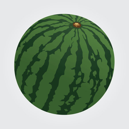 Big watermelon illustration with green outlineのイラスト素材