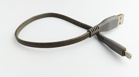 USB cable isolated on a white background. Close up of the plug.