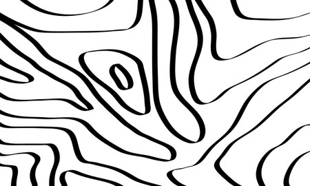 Abstract background with wavy lines. Black and white vector illustration.のイラスト素材