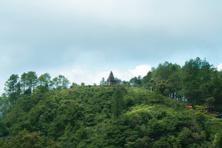 The pagoda on the top of the mountain in the forest.