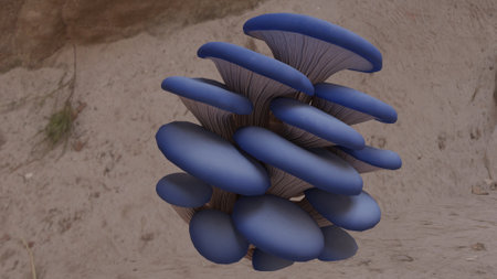 Mushrooms growing in the forestの写真素材