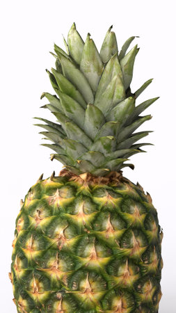 pineapple with white backgroundの写真素材
