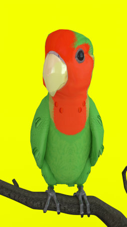 parrot on branch with green backgroundの写真素材