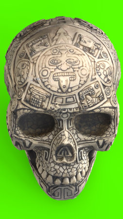 skull with green backgroundの写真素材