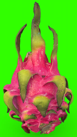dragon fruit with green backgroundの写真素材