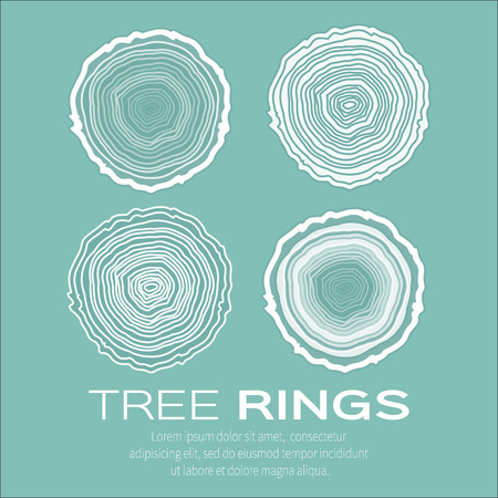 Tree rings background and saw cut tree trunk vector, forestry and sawmill. Wood texture. Vector illustrationのイラスト素材