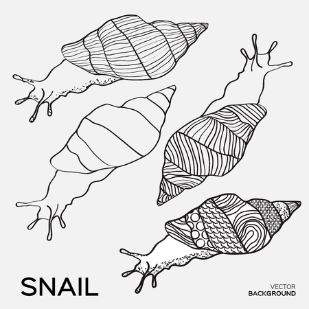 Monochrome silhouette of snail drawing outline. Black snail decorated with abstract lines. Vector backgroundのイラスト素材