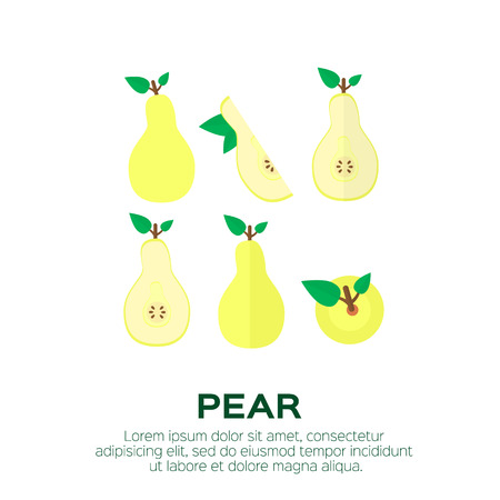 Summer set of pear with leaf. Whole and cut yellow pears. Symbol of food, sweet and vitamin, healthy. Vector illustrationのイラスト素材