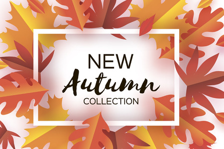 Autumn Paper Cut Leaves. New Autumn collection. September flyer template. Rectangle layered cave tunnel frame. Space for text. Origami Foliage. Maple, oak. Fall poster. white. Vectorのイラスト素材