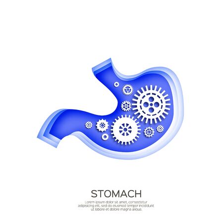 Healthy Stomach with gears and cogs working together in paper cut style. Human organ symbol. Digestive system anatomy on white background. Vectorのイラスト素材