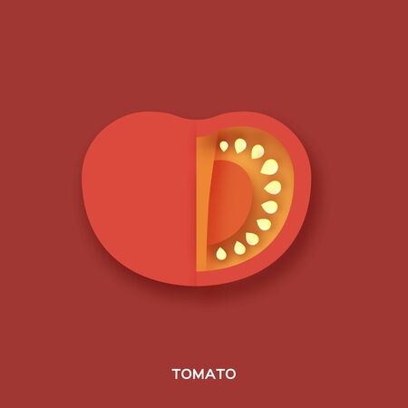 Tomato. Red slice on red background. Front view.のイラスト素材