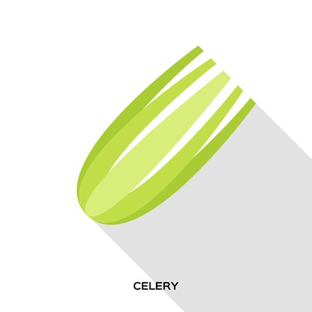 Green Celery Green Organic Vegetable. Healthy food.のイラスト素材