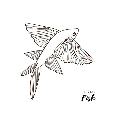 Flying Fish. Sea animal. Ocean life in paper craft style.のイラスト素材