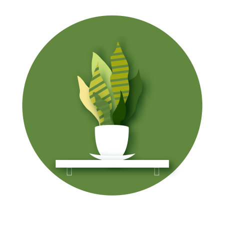 Snake Plant. Houseplant. Green Leaves of Sansevieria trifasciata paper cut style.botanical nature. Spring and summer time. Homeplant. Houseplant. Vectorのイラスト素材