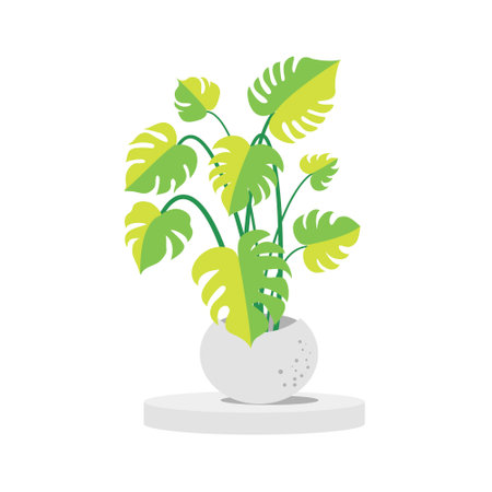 Monstera Deliciosa Plant Leaves. Tropical jungle, botanical nature. Spring and summer time. Homeplant.のイラスト素材
