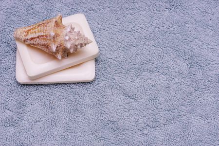 Cockleshell and two soaps on towelの写真素材
