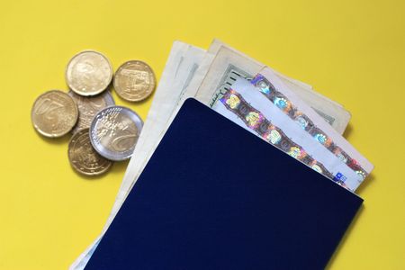 passports and money (euro and dollars)の写真素材