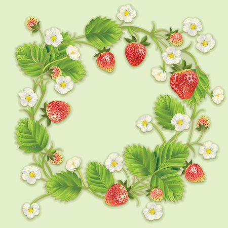 fresh berry round frame.のイラスト素材