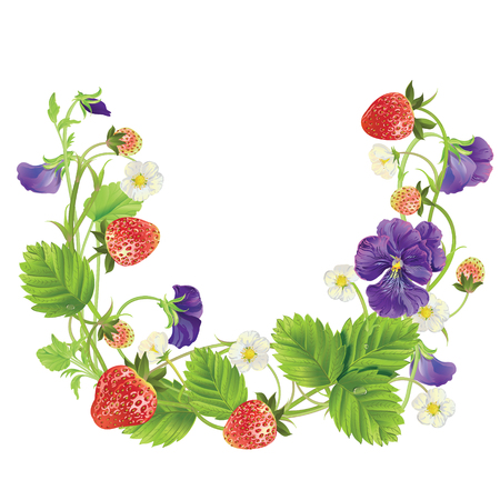 fresh berry round frame.のイラスト素材