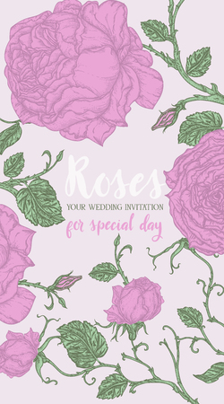 Pink roses template for wedding invitationのイラスト素材