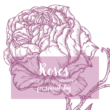 Violet rose theme frame for wedding invitationのイラスト素材