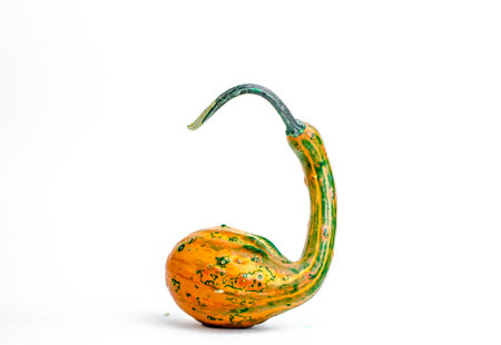 pumpkins of an unusual shape on a white background. High quality photoの写真素材