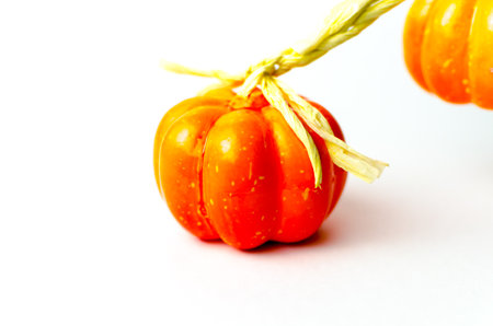 orange pumpkin with a branch on a white background. High quality photoの写真素材