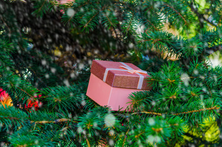 pink gift box in spruce for new year close up with snow bokeh. High quality photo