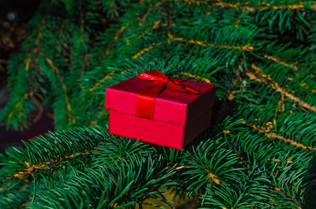 christmas red gift box on fir branches. High quality photoの写真素材