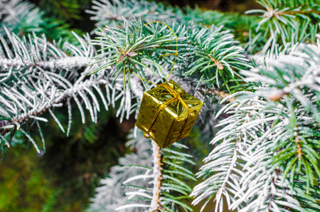 pattern golden christmas decorations on fir branches. High quality photoの写真素材