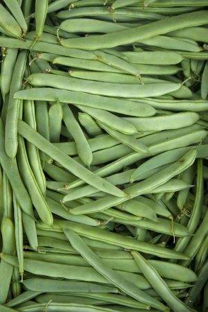 A collection green bean vegetable also known in some countris as loubia