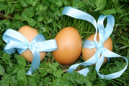 Easter eggs on a green grass   Easter