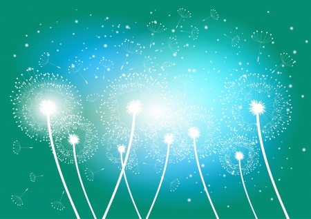 Vector dandelion background for your design  のイラスト素材