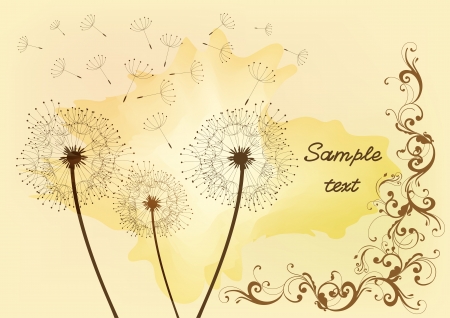 vector dandelion for your elegant vintage design  のイラスト素材