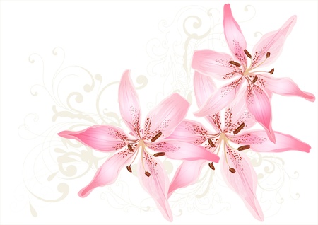 Pretty pastel card with lilyのイラスト素材