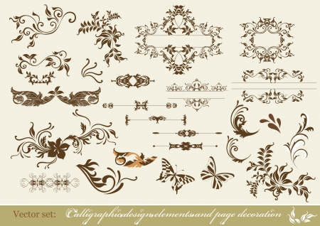 Decorative elements for elegant design  Calligraphicのイラスト素材